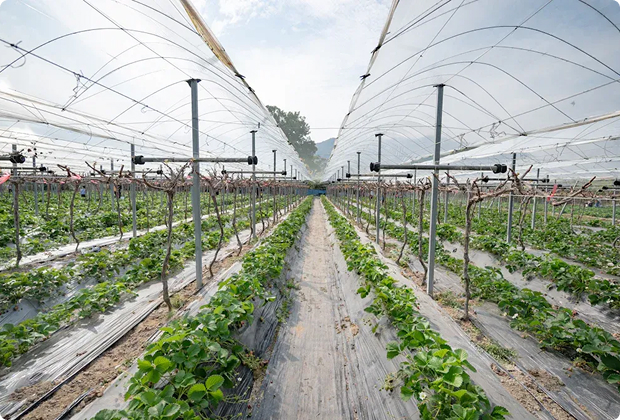 Practical screening, fencing and protection for water, animals, crops and equipment