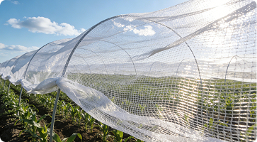Agriculture & General Protection